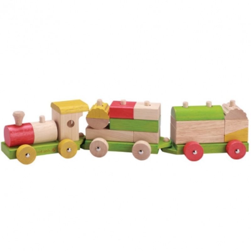 Train à assembler EverEarth