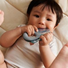 Lot de 2 anneaux de dentition réfrigéré Rita Elephant Sandy-Dove Blue