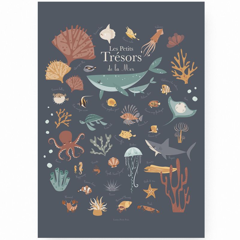 Affiche A3 Les petits trésors de la mer bleue Lutin Petit Pois