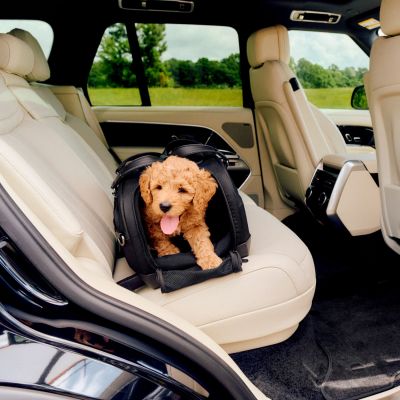 Sac de transport pour avion et siège auto pour animaux de compagnie DUPREE I ONYX