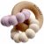 Variation Violet, blanc du produit Anneau de dentition Sedna Lilas  de la marque Zakuw