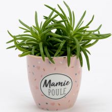 Mini pot Mamie poule (7 cm)  par Amadeus Les Petits