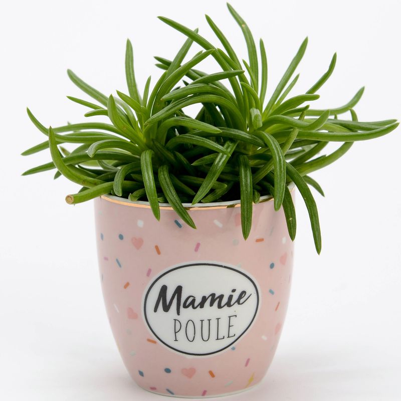 Mini pot Mamie poule (7 cm) Amadeus Les Petits