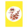Mon premier jeu de cartes Mimanimo Auzou Editions Produit 6