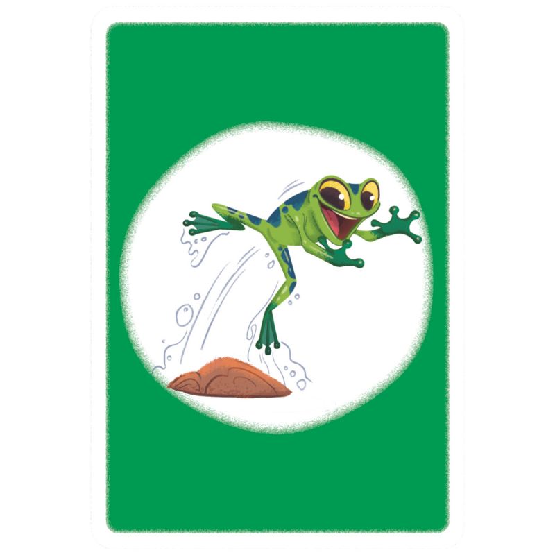 Mon premier jeu de cartes Mimanimo Auzou Editions Produit 8