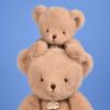 Peluche ours Clémentin Miel Amande (60 cm) Histoire d'Ours Ambiance 3