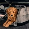 Sac de transport pour avion et siège auto pour animaux de compagnie DUPREE II MERLE Tavo Ambiance 8