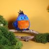 Peluche LES CUI-CUI PARADIS Perroquet bleu royal (15 cm) Histoire d'Ours Ambiance 4