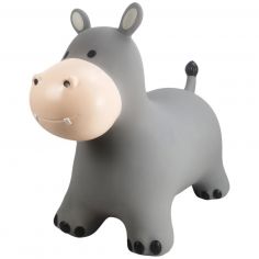 Ballon sauteur Le Hippo Holger - Find that hippo
