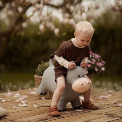 Ballon sauteur Le Hippo Holger
