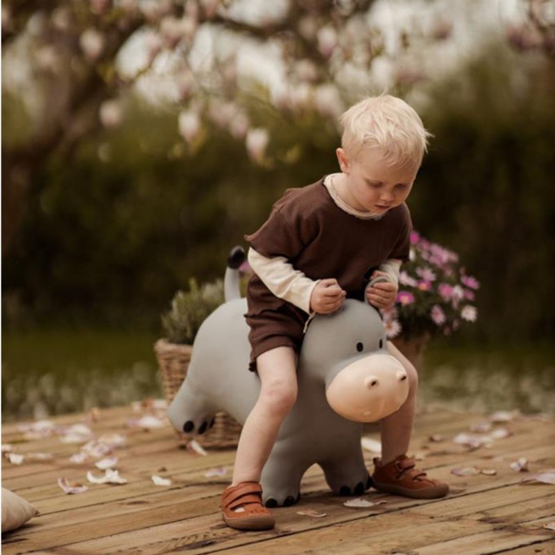 Ballon sauteur Le Hippo Holger Find that hippo Ambiance 2