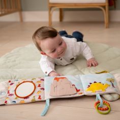 Livre d'éveil 2 en 1 Les Amis Dinos