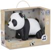 Luca le Panda Les Animaux Musicaux  par Little Big Friends