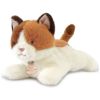 Peluche LES P'TITS RELAX Chat (22 cm) Histoire d'Ours Produit 1
