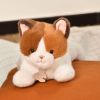 Peluche LES P'TITS RELAX Chat (22 cm) Histoire d'Ours Ambiance 2