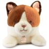 Peluche LES P'TITS RELAX Chat (22 cm) Histoire d'Ours Produit 3