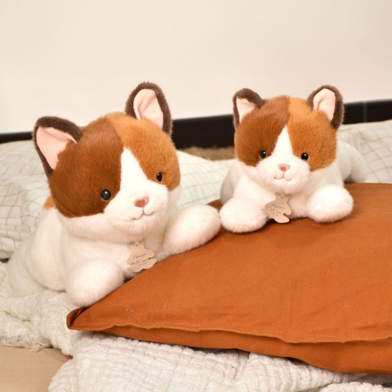 Peluche LES P'TITS RELAX Chat (22 cm) Histoire d'Ours Ambiance 4