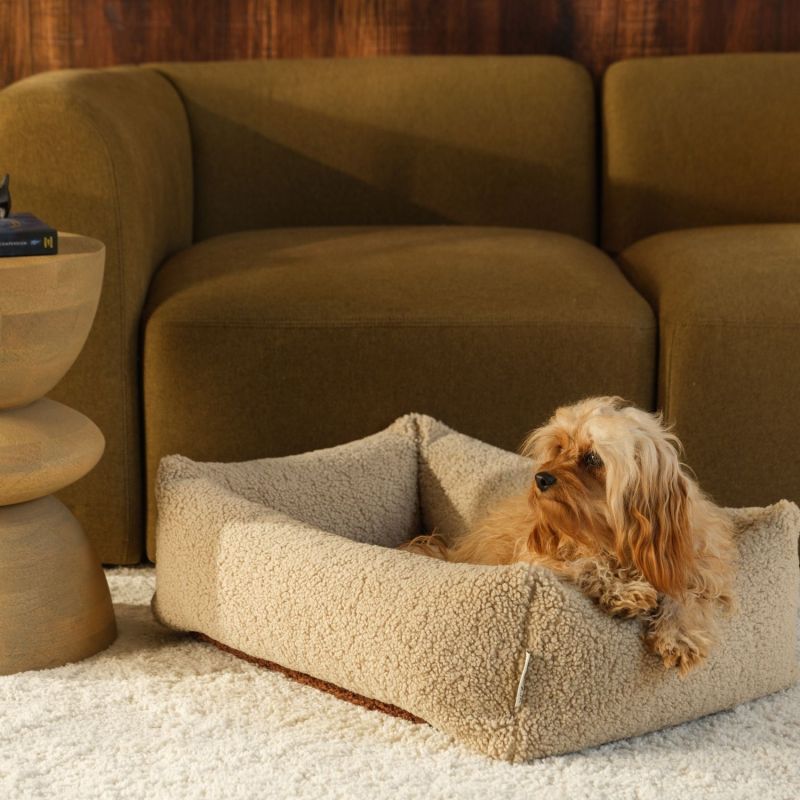 Lit douillet pour animaux M Biscuit Wigiwama Ambiance 2