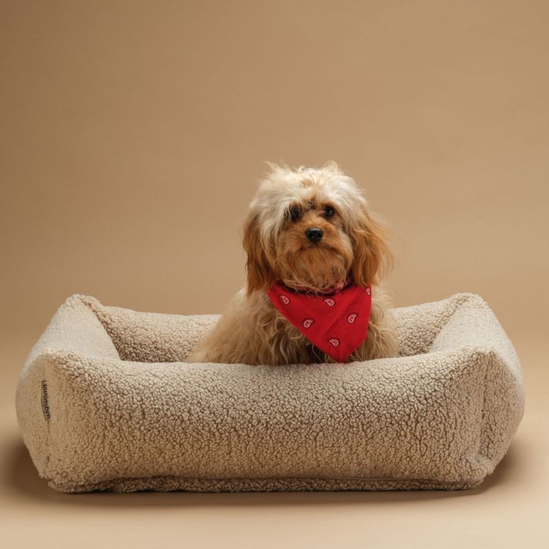 Lit douillet pour animaux M Biscuit Wigiwama Ambiance 6
