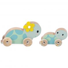 Set de 2 tortues à pousser Pure