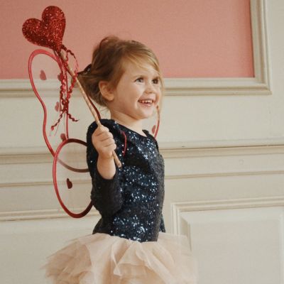 Ailes de fée Cœurs