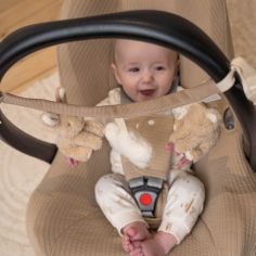 Chaîne d'activités pour poussette Baby Bunny