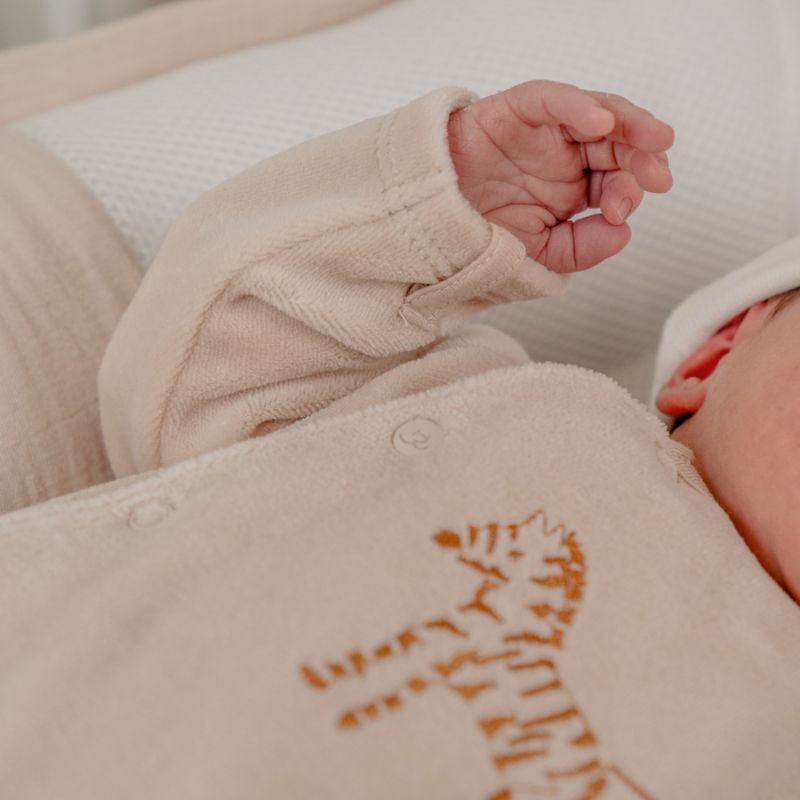 Lot de 2 pyjamas Velours Zèbre (3 mois) Noukie's Ambiance 2