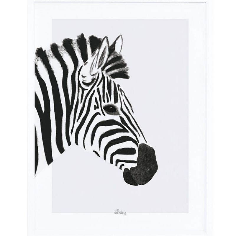 Affiche encadrée le zèbre (30 x 40 cm) Lilipinso
