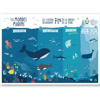 Affiche Les mondes marins (A3)