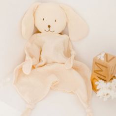 Doudou bola Chien - Pleine Lune