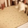Drap housse en jersey Woolly (40 x 80 cm) Jollein Ambiance 5