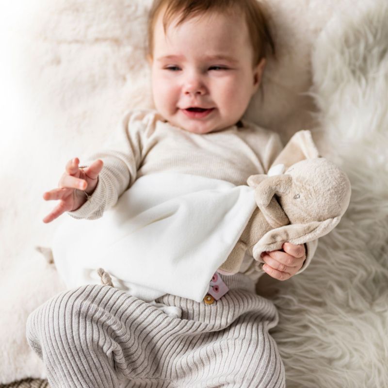 Doudou câlin Fanfan l'éléphant Blanc crème (27 cm) Nattou Ambiance 3