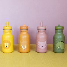 Gourde isotherme Mr. Dino (350 ml)