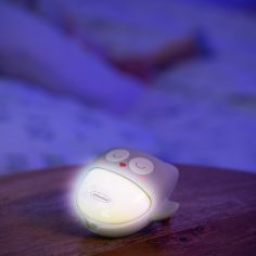 Veilleuse nomade chouette grise