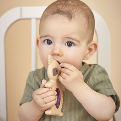 Anneau de dentition 2 en 1 Raton Laveur