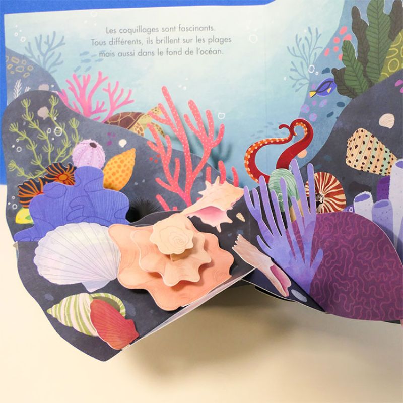 Livre pop-up Trésors de l'Océan - Reconditionné Editions Kimane Produit 8