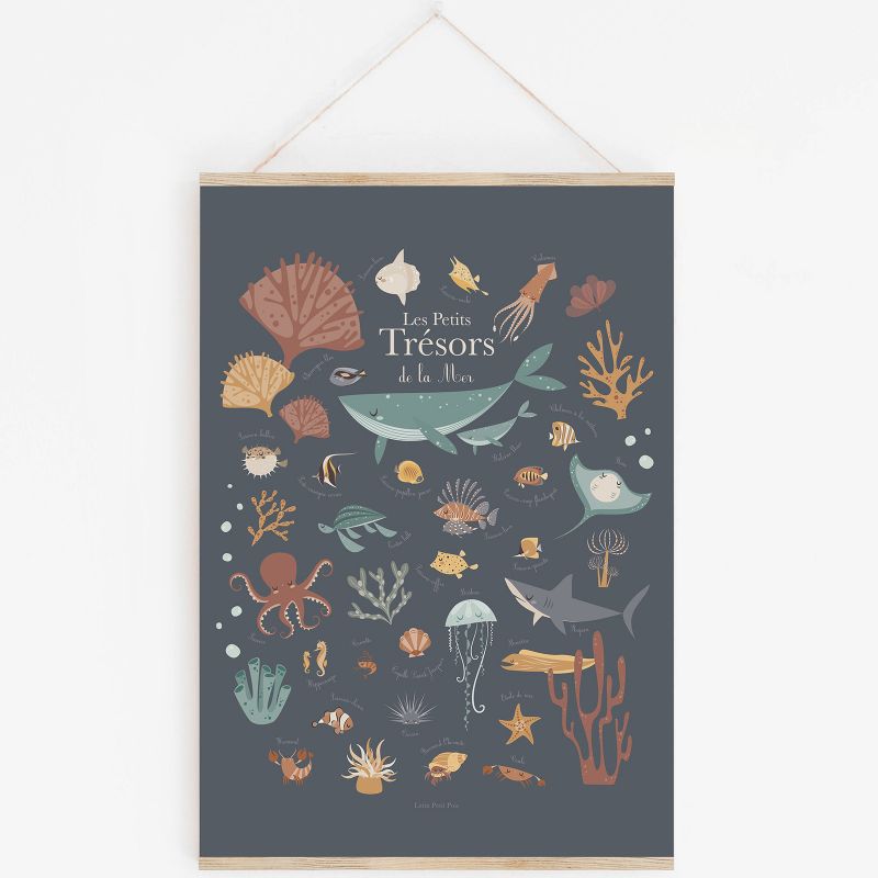 Affiche A3 Les petits trésors de la mer bleue avec support Lutin Petit Pois