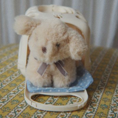 Peluche Chien et sa caisse