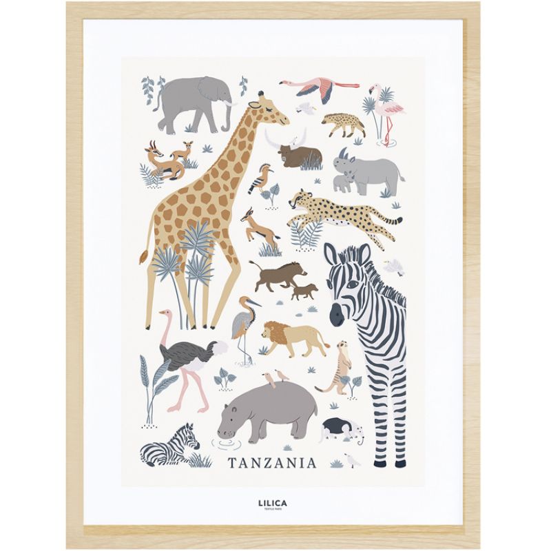 Affiche encadrée savane Tanzania (30 x 40 cm) Lilipinso