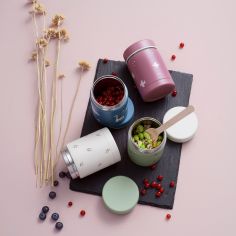 Thermos alimentaire Swallow (300 ml)