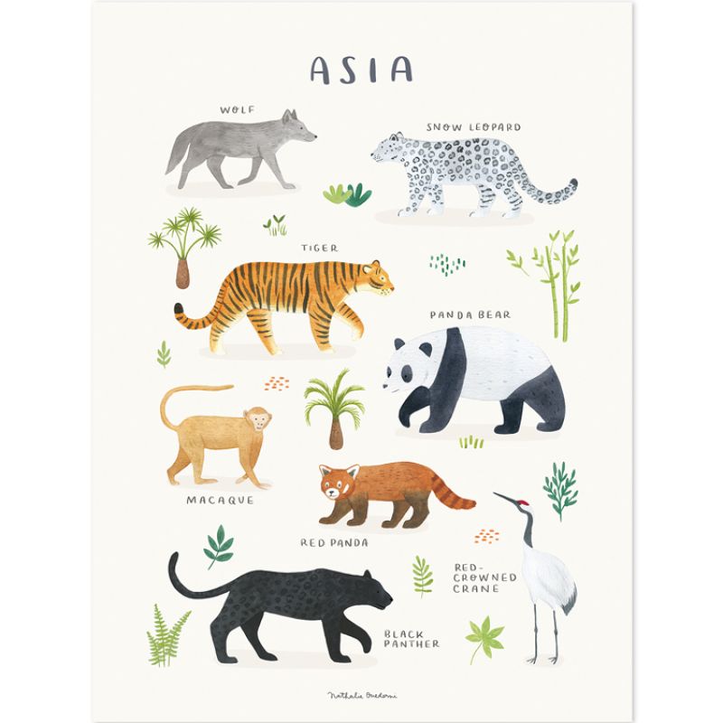 Affiche Animaux d'Asie (30 x 40 cm) Lilipinso Produit 1 grande taille