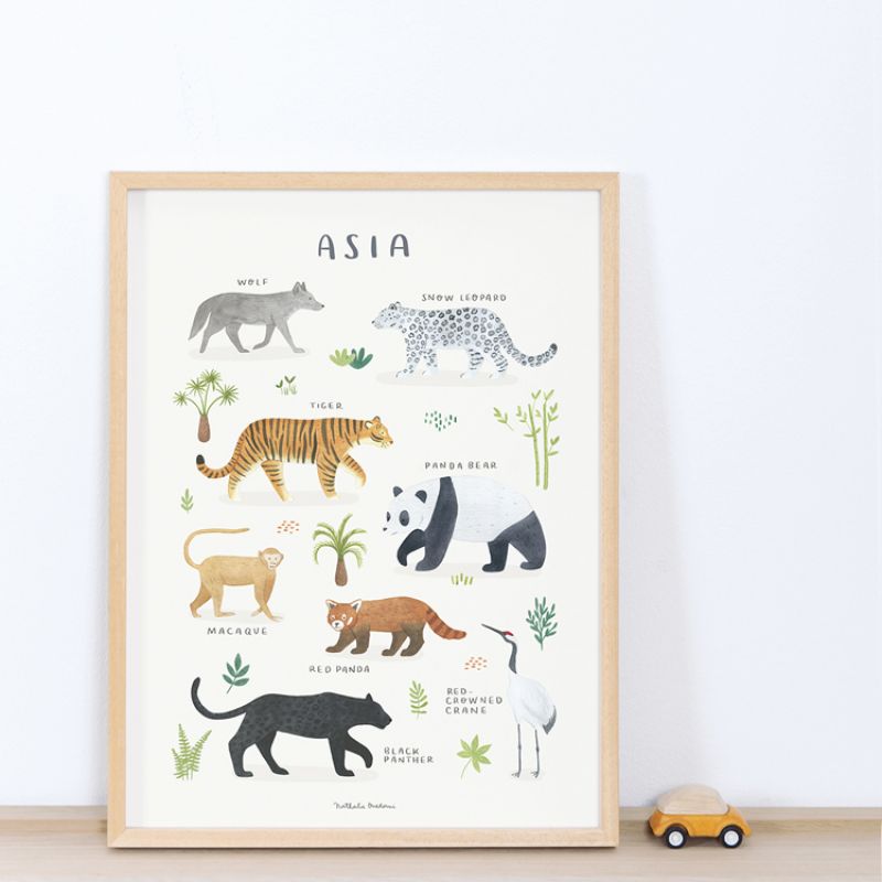 Image d'ambiance de présentation du produit Affiche Animaux d'Asie (30 x 40 cm) - Lilipinso