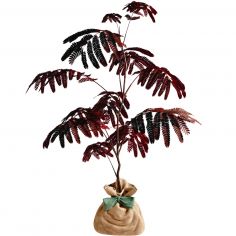 Arbre à offrir Arbre à soie pourpre - Joie et équilibre