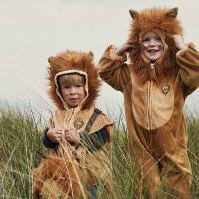 Déguisement de lion (4 ans) : Souza For Kids