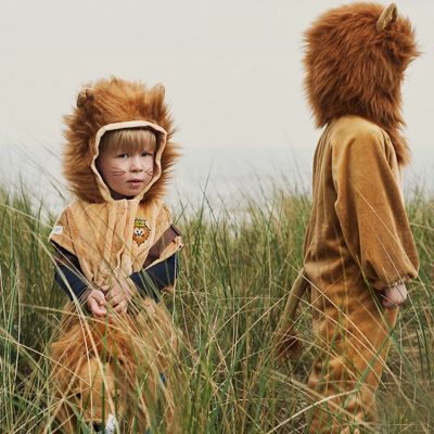 Déguisement de lion (4 ans) : Souza For Kids