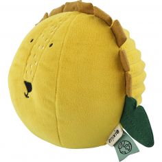 Balle sonore Mr. Lion