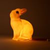 Veilleuse lapin blanc Egmont Toys Ambiance 9