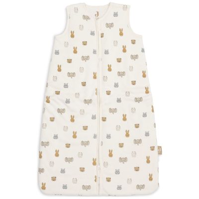 Gigoteuse chaude en jersey Jollies TOG 2,5 (3-6 mois)