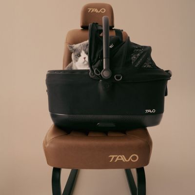 Siège auto et caisse de transport pour animaux de compagnie MAEVE ISO6X MERLE avec système Isofix