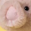 Peluche Smudge Cochon (24 cm) Jellycat Ambiance 2